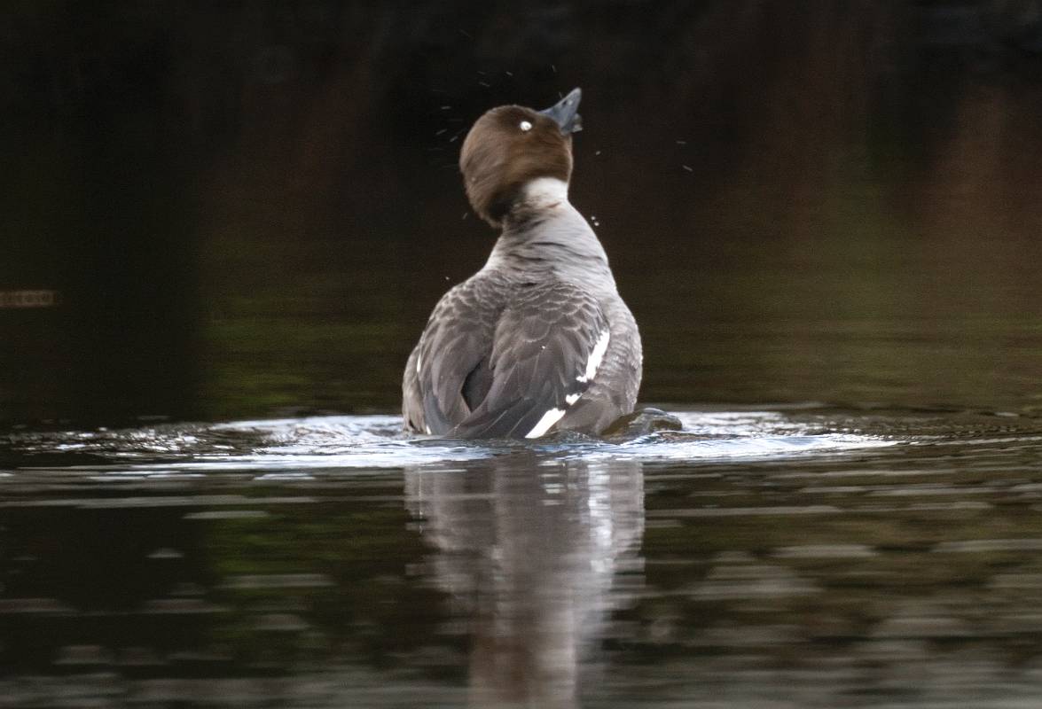 IMG_6782_Crop.jpg - Kniphona 2, Hallstahammar