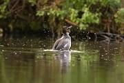 IMG_6723