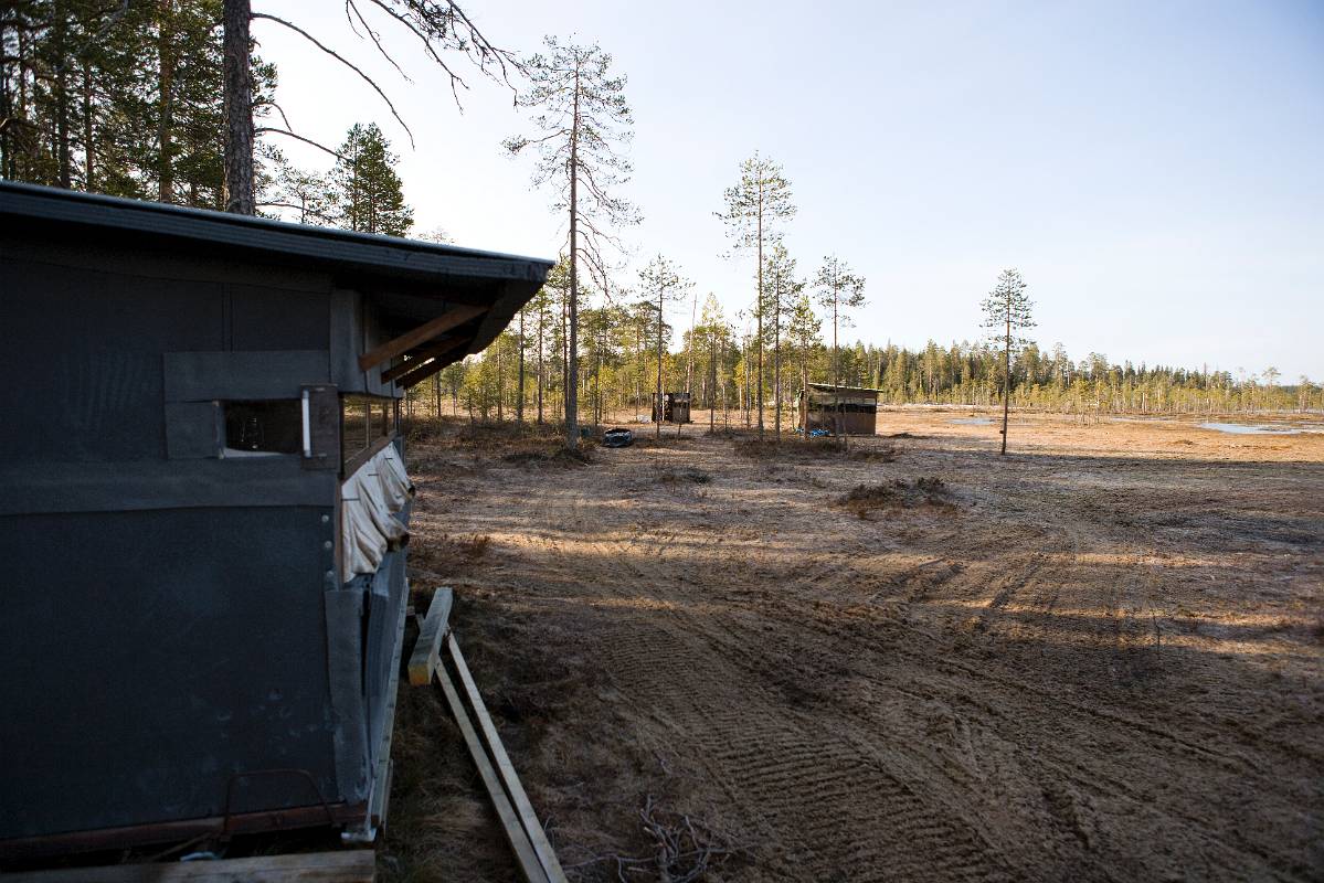 F7D2138.jpg - Gömslen i ingenmansland mellan Finland och Ryssland