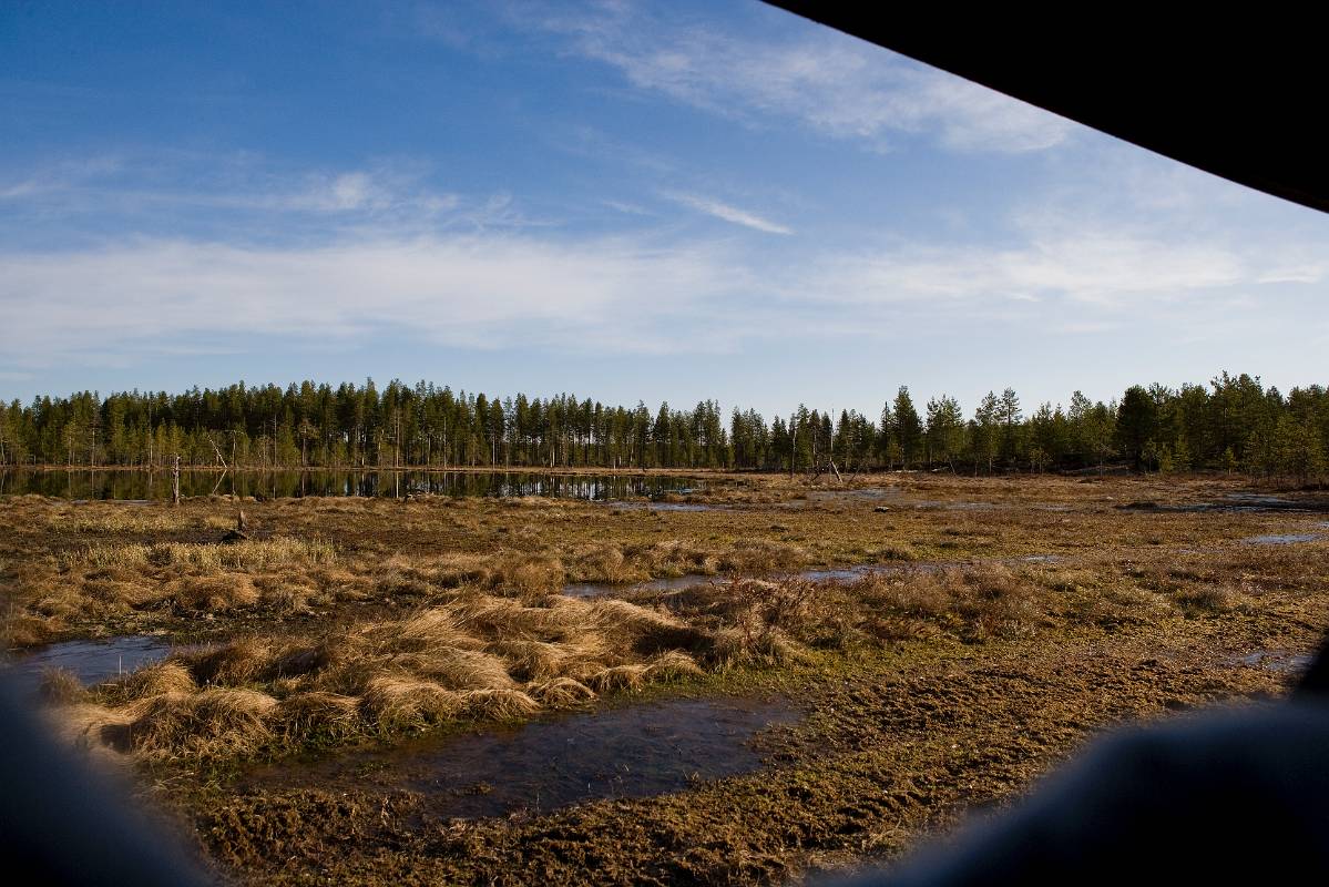 F7D9088.jpg - Untsikt från stora gömslet vid sjön