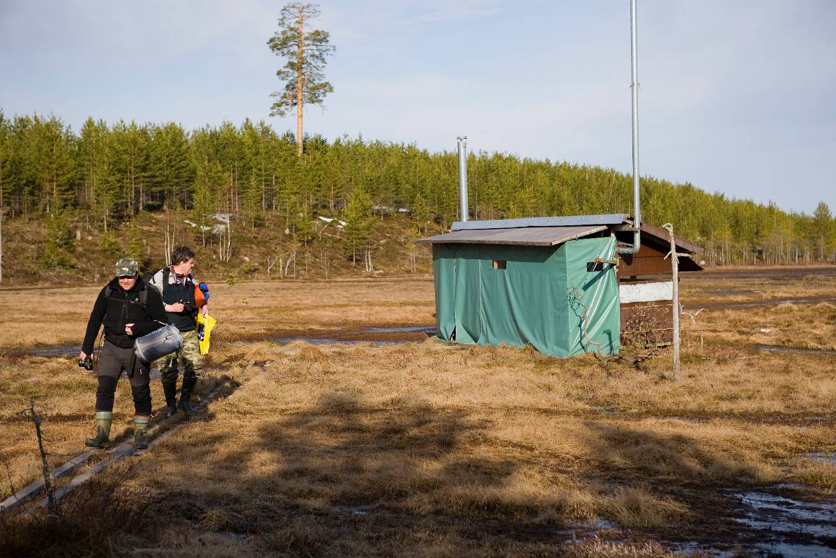 F7D9113.jpg - På väg tillbaka från gömslet efter en fantastisk natt med Varg på nära håll