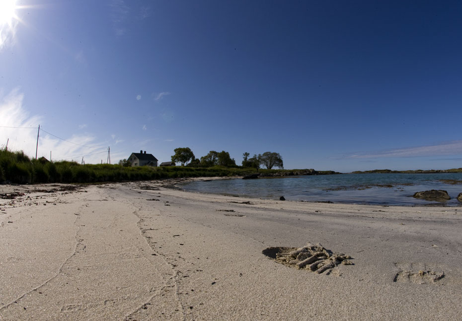 16__F7D0521.jpg - Skoavtryck i sanden.
