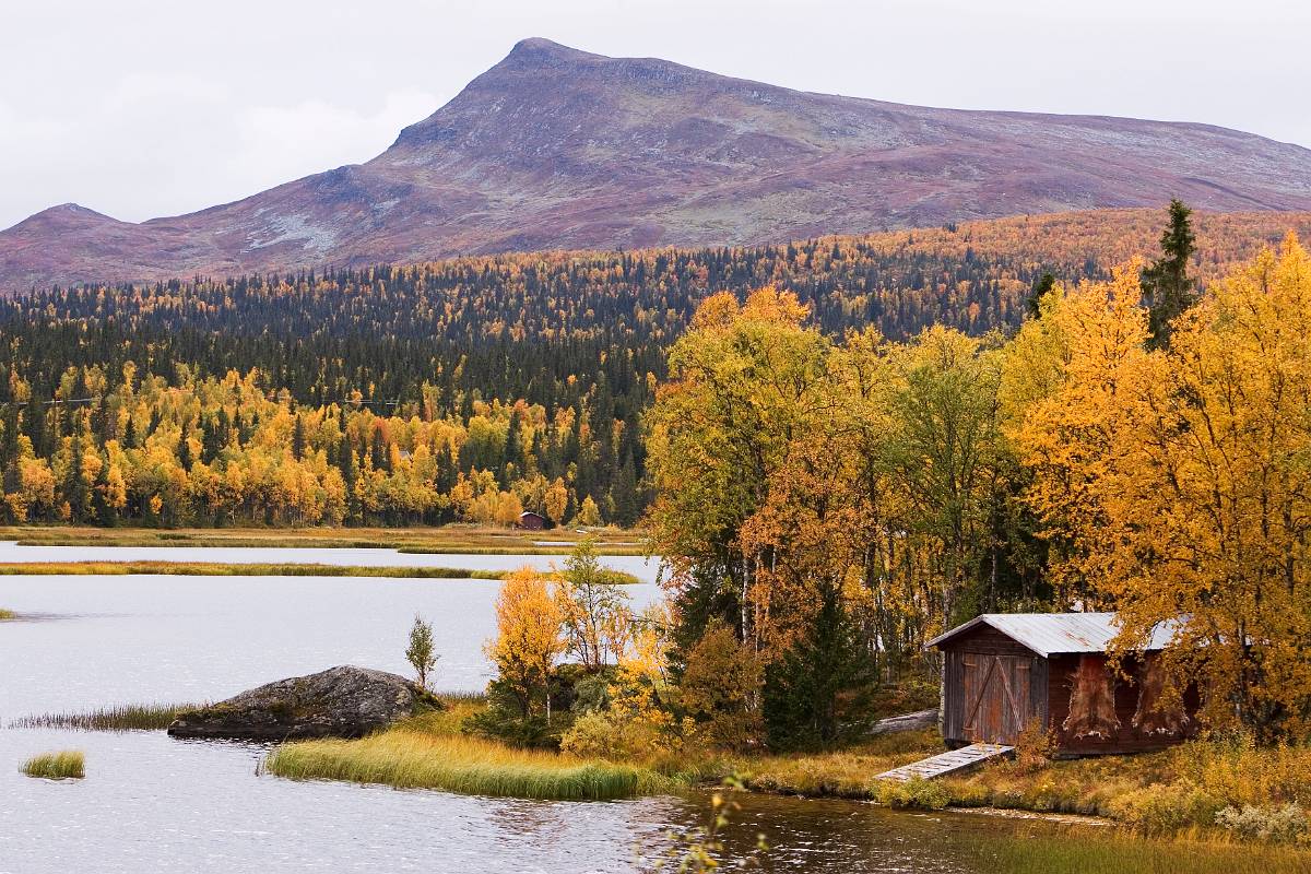 O9P7263.jpg - Båthus med renskinn på väggen