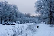 IMG_2297
