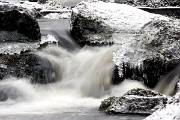 IMG_2641
