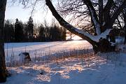IMG_5488