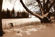 IMG_5488_Lith