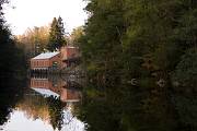 IMG_5253