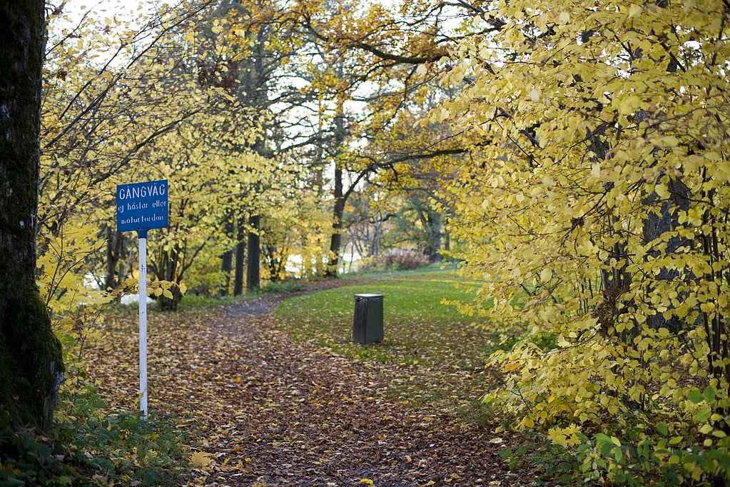 F7D2347.jpg
