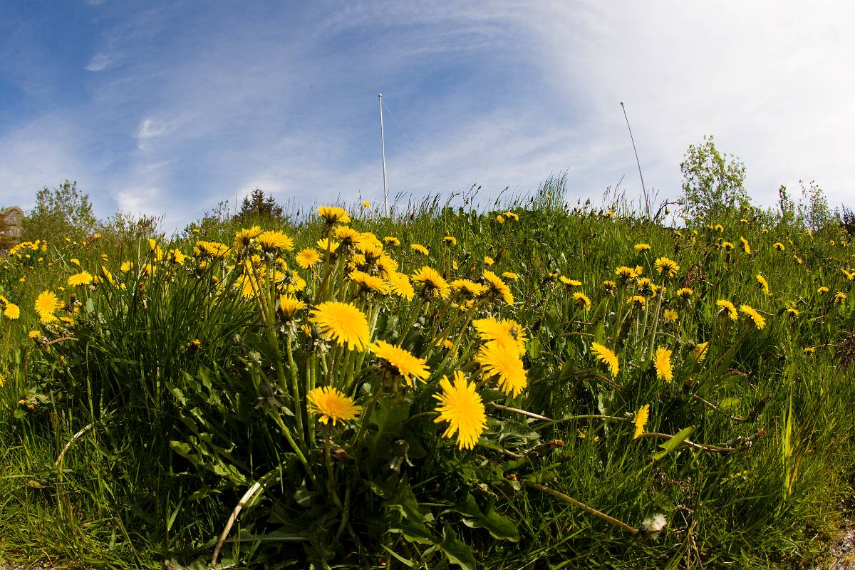 _F7D0818.jpg