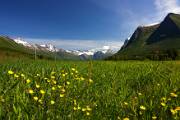 norge