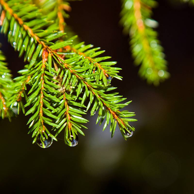 _F7D2496.jpg